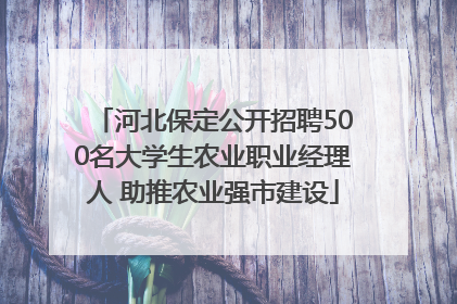 河北保定公开招聘500名大学生农业职业经理人 助推农业强市建设