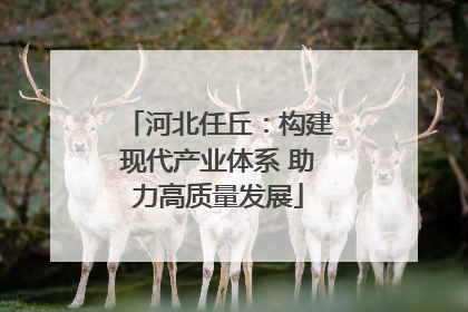 河北任丘：构建现代产业体系 助力高质量发展