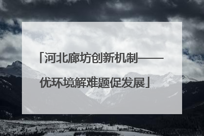 河北廊坊创新机制——优环境解难题促发展