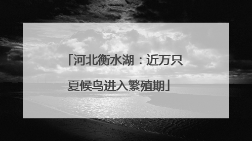 河北衡水湖：近万只夏候鸟进入繁殖期