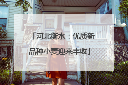 河北衡水：优质新品种小麦迎来丰收