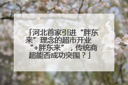 河北首家引进“胖东来”理念的超市开业 “+胖东来”，传统商超能否成功突围？