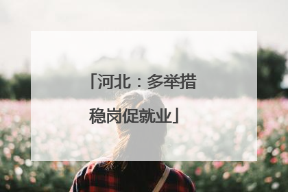 河北：多举措稳岗促就业