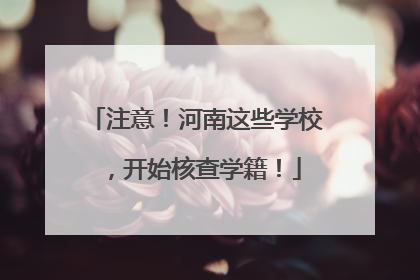 注意！河南这些学校，开始核查学籍！