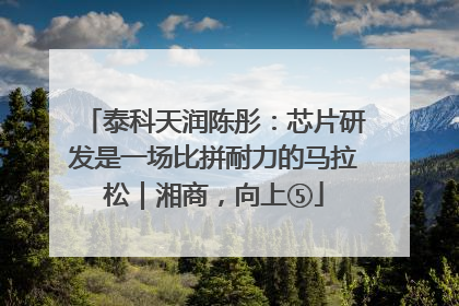 泰科天润陈彤：芯片研发是一场比拼耐力的马拉松｜湘商，向上⑤