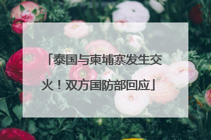 泰国与柬埔寨发生交火！双方国防部回应