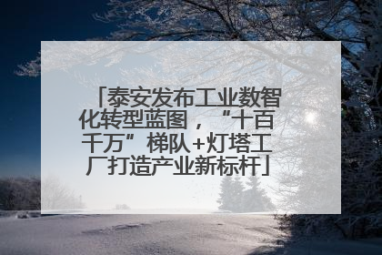 泰安发布工业数智化转型蓝图，“十百千万”梯队+灯塔工厂打造产业新标杆
