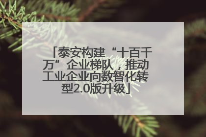 泰安构建“十百千万”企业梯队，推动工业企业向数智化转型2.0版升级