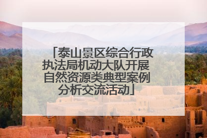 泰山景区综合行政执法局机动大队开展自然资源类典型案例分析交流活动
