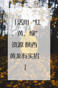 活用“红、黄、绿”资源 陕西黄龙有实招
