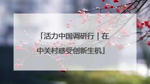 活力中国调研行｜在中关村感受创新生机