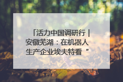 活力中国调研行｜安徽芜湖：在机器人生产企业埃夫特看“中国智造”