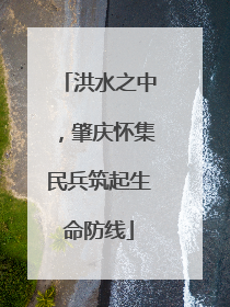 洪水之中，肇庆怀集民兵筑起生命防线