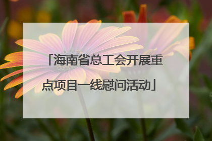 海南省总工会开展重点项目一线慰问活动