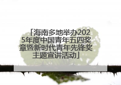 海南多地举办2025年度中国青年五四奖章暨新时代青年先锋奖主题宣讲活动
