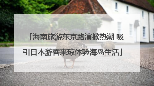 海南旅游东京路演掀热潮 吸引日本游客来琼体验海岛生活