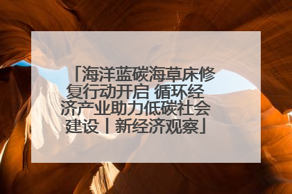 海洋蓝碳海草床修复行动开启 循环经济产业助力低碳社会建设丨新经济观察