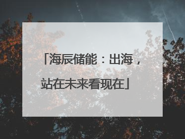海辰储能：出海，站在未来看现在