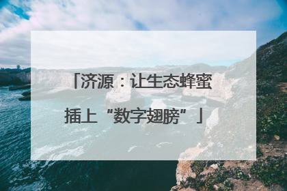 济源：让生态蜂蜜插上“数字翅膀”