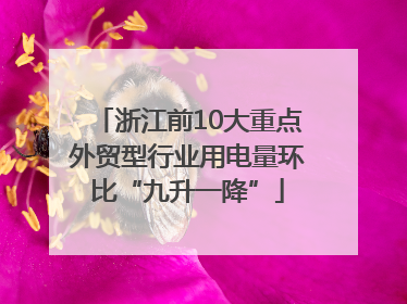浙江前10大重点外贸型行业用电量环比“九升一降”