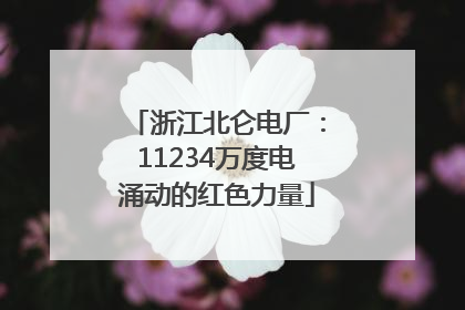 浙江北仑电厂：11234万度电涌动的红色力量