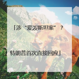 涉“爱泼斯坦案”？特朗普首次直接回应