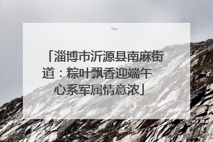 淄博市沂源县南麻街道：粽叶飘香迎端午 心系军属情意浓