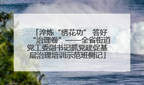 淬炼“绣花功” 答好“治理卷”——全省街道党工委副书记抓党建促基层治理培训示范班侧记