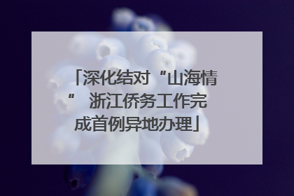 深化结对“山海情” 浙江侨务工作完成首例异地办理