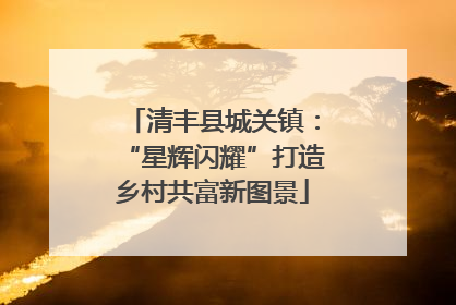 清丰县城关镇：“星辉闪耀”打造乡村共富新图景
