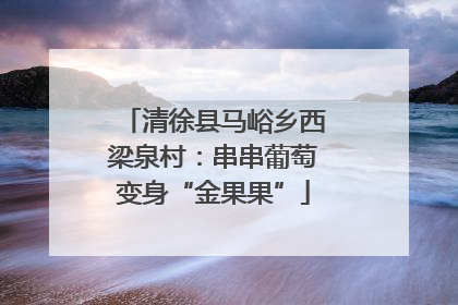 清徐县马峪乡西梁泉村：串串葡萄变身“金果果”