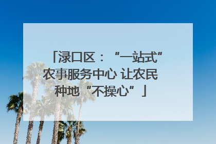 渌口区：“一站式”农事服务中心 让农民种地“不操心”