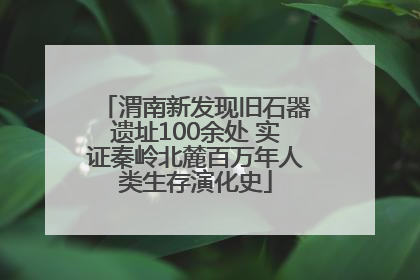 渭南新发现旧石器遗址100余处 实证秦岭北麓百万年人类生存演化史