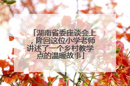 湖南省委座谈会上，隆回这位小学老师讲述了一个乡村教学点的温暖故事