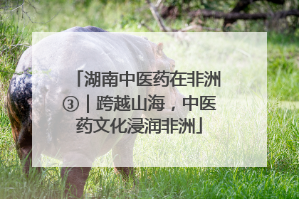 湖南中医药在非洲③｜跨越山海，中医药文化浸润非洲