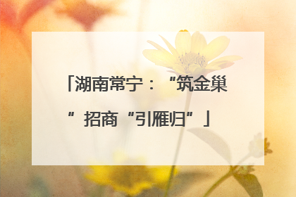 湖南常宁：“筑金巢”招商“引雁归”