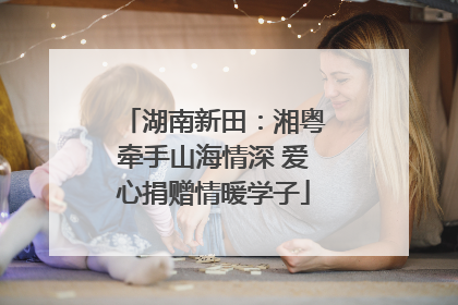湖南新田：湘粤牵手山海情深 爱心捐赠情暖学子