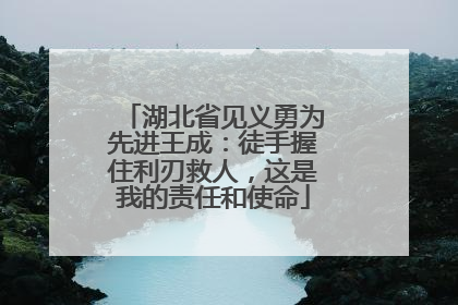 湖北省见义勇为先进王成：徒手握住利刃救人，这是我的责任和使命