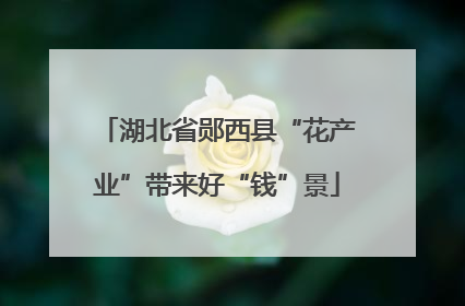 湖北省郧西县“花产业”带来好“钱”景