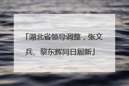 湖北省领导调整，张文兵、黎东辉同日履新