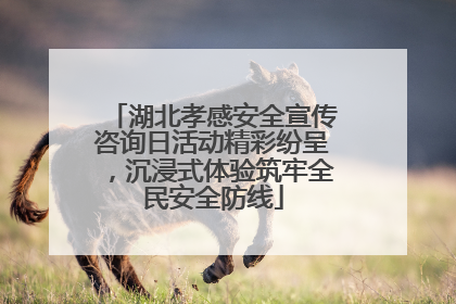 湖北孝感安全宣传咨询日活动精彩纷呈，沉浸式体验筑牢全民安全防线