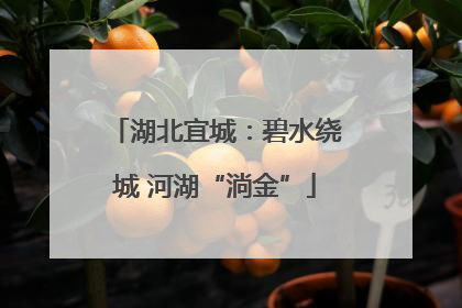 湖北宜城：碧水绕城 河湖“淌金”
