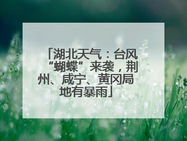 湖北天气：台风“蝴蝶”来袭，荆州、咸宁、黄冈局地有暴雨