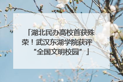 湖北民办高校首获殊荣！武汉东湖学院获评“全国文明校园”