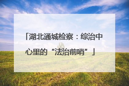 湖北通城检察：综治中心里的“法治前哨”