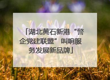 湖北黄石新港“警企党建联盟”叫响服务发展新品牌
