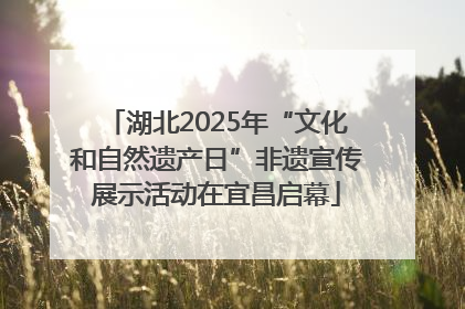 湖北2025年“文化和自然遗产日”非遗宣传展示活动在宜昌启幕