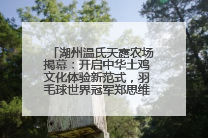 湖州温氏天露农场揭幕：开启中华土鸡文化体验新范式，羽毛球世界冠军郑思维助力品牌兴农
