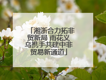 湘浙合力拓非贸新局 雨花义乌携手共建中非贸易新通道