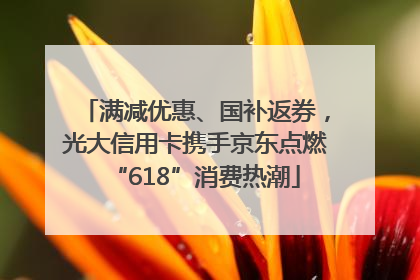 满减优惠、国补返券，光大信用卡携手京东点燃“618”消费热潮